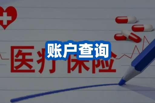 账户查询案例